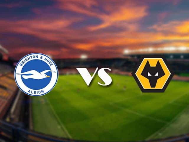 Soi kèo nhà cái Brighton vs Wolves, 03/01/2021 - Ngoại Hạng Anh